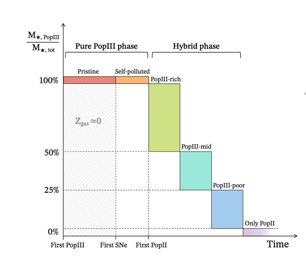 A schematic showing the evolution of a population III galaxy. They start with a pure population III galaxy on the left, initially pristine. It then self-pollutes as its first stars go supernova. After this, population II stars start to form and the fraction of population III stars rapidly decreases, until the galaxy is 100% population II (on the right).