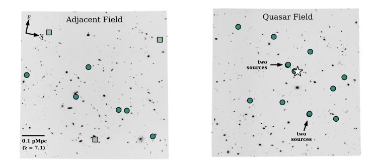 Images of two fields near or centered on the redshift 7 quasar. Newly detected galaxies at the same redshift are highlighted as green circles. In total, there are 19-22 galaxies in the vicinity to the quasar that could help it grow. But is that enough..?
