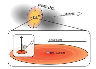 Simple cartoon of the assembly of a supermassive disc
(SMD)and supermassivestar(SMS)system that appear as little red
dots (LRD). Major mergers of galaxies with at least ∼10^8 solar masses of gas
trigger strong inflows that result in a compact self-gravitating disc at
 sub-pc scale, with typical temperatures of ∼4000 K.The disc feeds
a highly accreting SMS which radiates as a hot black body (∼20000
K)  due to its own accretion luminosity