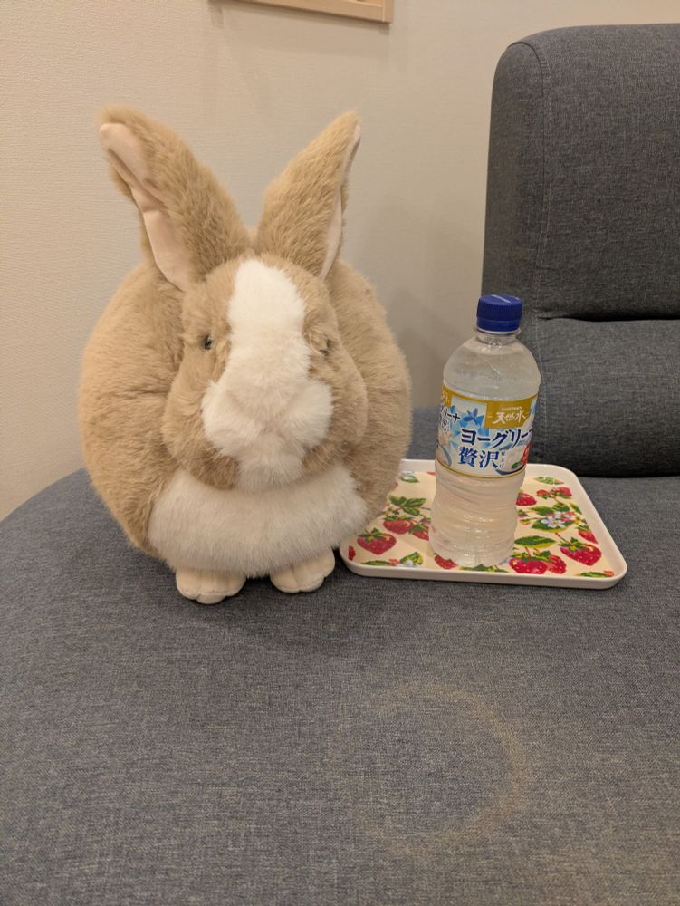 薄茶色のうさぎのぬいぐるみとヨーグリーナのペットボトル