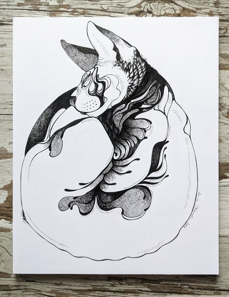 Curled up sphynx cat done in pigment pens