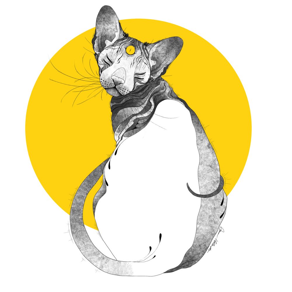 Multi eyed sphynx cat sitting before an orange sun