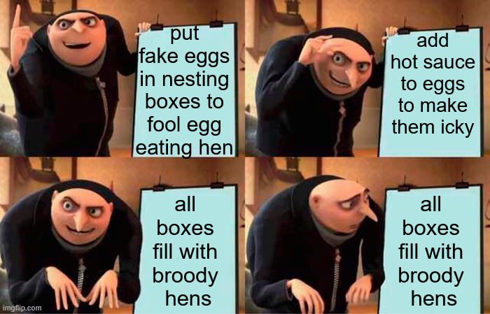4-panel GRU meme where he's sharing a plan. In the 4th panel he's looking at the plan with concern. The 4 panels say:
put fake eggs in nesting boxes to fool egg eating hen
add hot sauce to eggs to make them icky
all boxes fill with broody hens
all boxes fill with broody hens