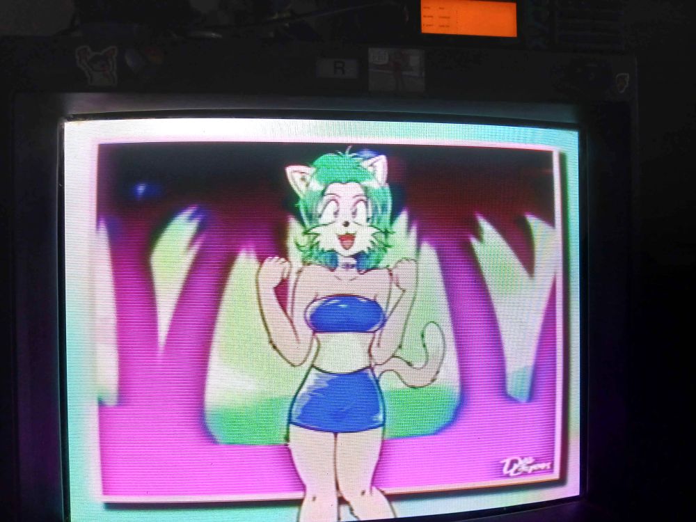 and displayed on the PVM 