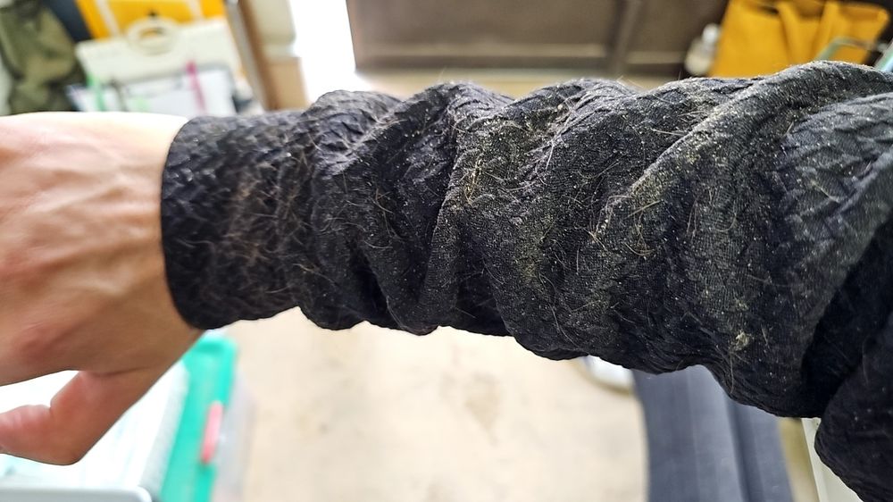 バイトの日に、リーブルとイチャイチャしすぎて、毛だらけになった写真(笑)

洗濯しても、毛が取れないから、ずっとリーブルが守ってくれてるみたいで嬉しい💕︎