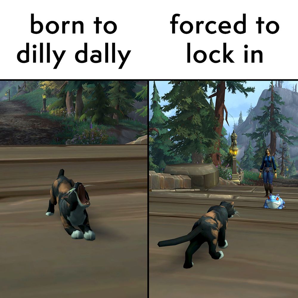 An image split vertically into two halves. The left half features an in-game Calico Cat companion pet stretching and yawning on a wooden bridge somewhere in a mountainous forest, with text above that reads “born to dilly dally”. The second image shows the same cat facing off against a human pet trainer at the end of the bridge with a small blue frog that is ready for battle. Text above reads “forced to lock in”.