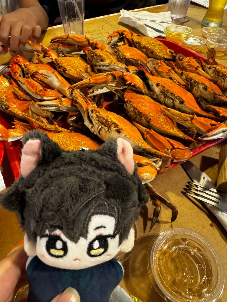 a plushie of zayne from love and deepspace in front of a dozen steamed blue crabs