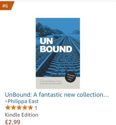 Screen shot showing an orange flag #6 in an Amazon bestseller chart