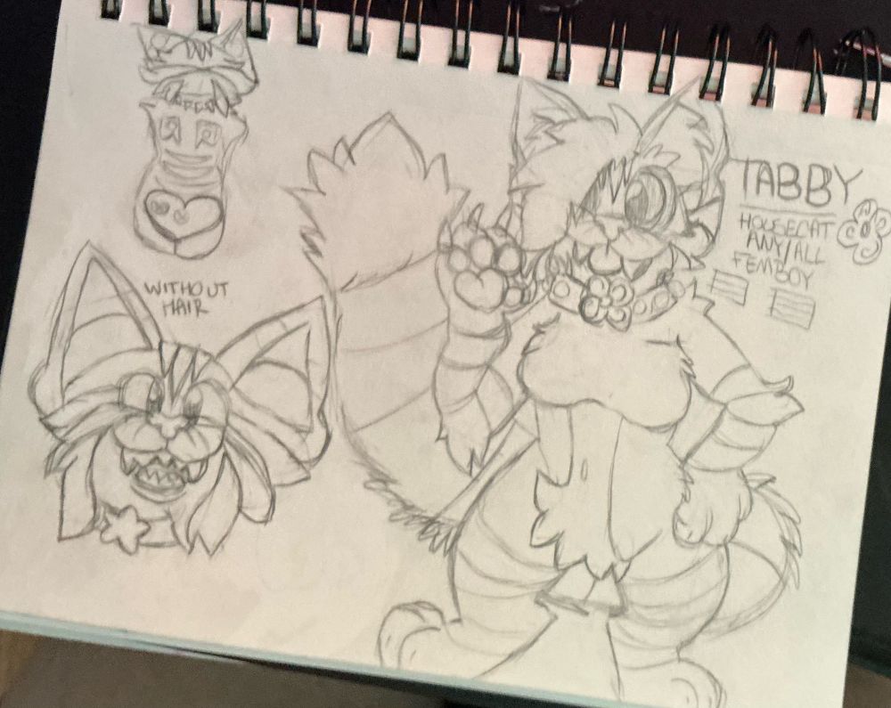 Sketchy ref of my calico tabby named tabby 