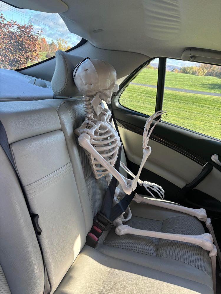 Skeleton in back seat