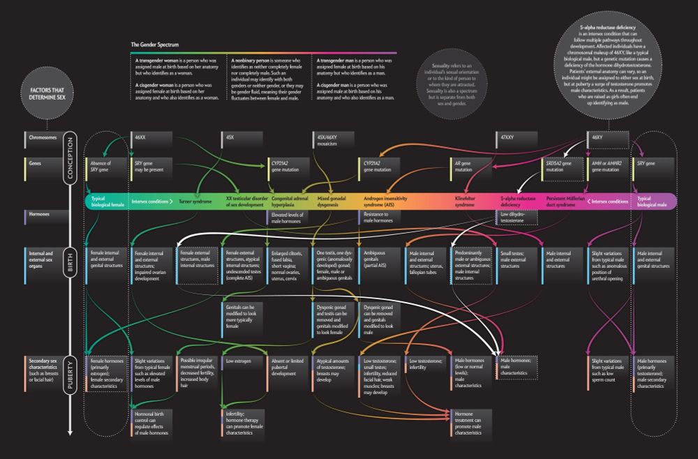 Montañez, Amanda. “Beyond XX and XY: The Extraordinary Complexity of Sex Determination.” Scientific American, September 1, 2017. https://www.scientificamerican.com/article/beyond-xx-and-xy-the-extraordinary-complexity-of-sex-determination/.

A complex chart showing genetic and hormonal interactions that can cause various specific forms of physical sex presentation along a spectrum from well-known XY and XX masculine and feminine variants, to less common genomic patterns and markers resulting in masculine, feminine, and intersex physical presentations. The chart includes how hormonal aspects can cause variances within genotypes, including XX and XY, as well as cases where people develop puberty hormones later in life that may contrast with their perceived sex phenotype at birth. A separate scale at the top of the diagram shows a gender spectrum, representing social and psychological experience separate from genes, hormones, and body shape.