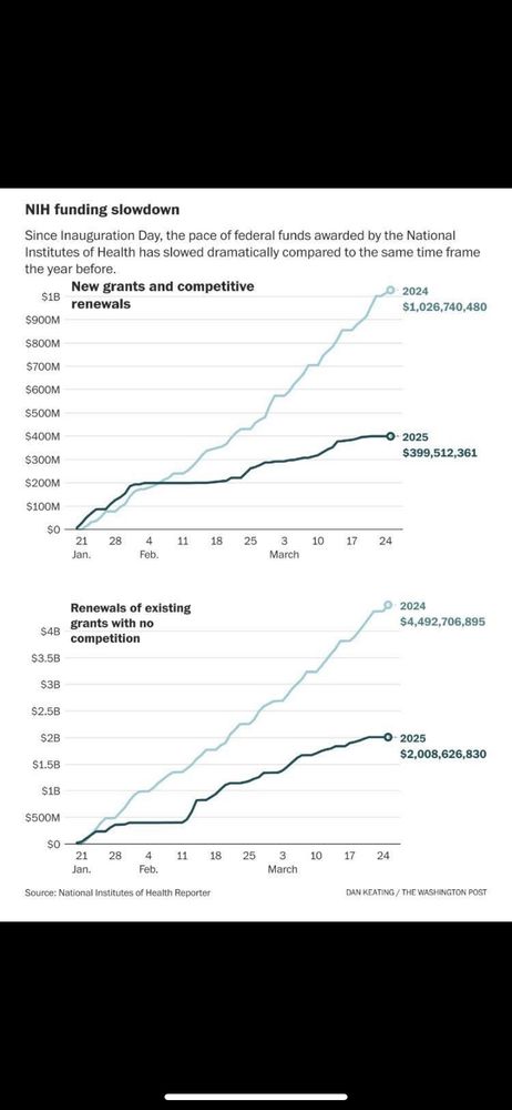 Graph from the Washington Post showing declines in spending at NIH. New grants cut from 1 billion to around 400 million. Overall grants down from 4.5 billion to 2.4 billion.