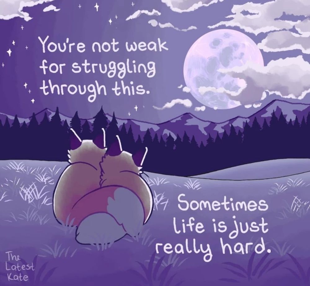 Adorable drawing by The Latest Kate of two foxes curled up in the grass under a full moon with the words ‘You’re not weak for struggling through this, sometimes life is just really hard.