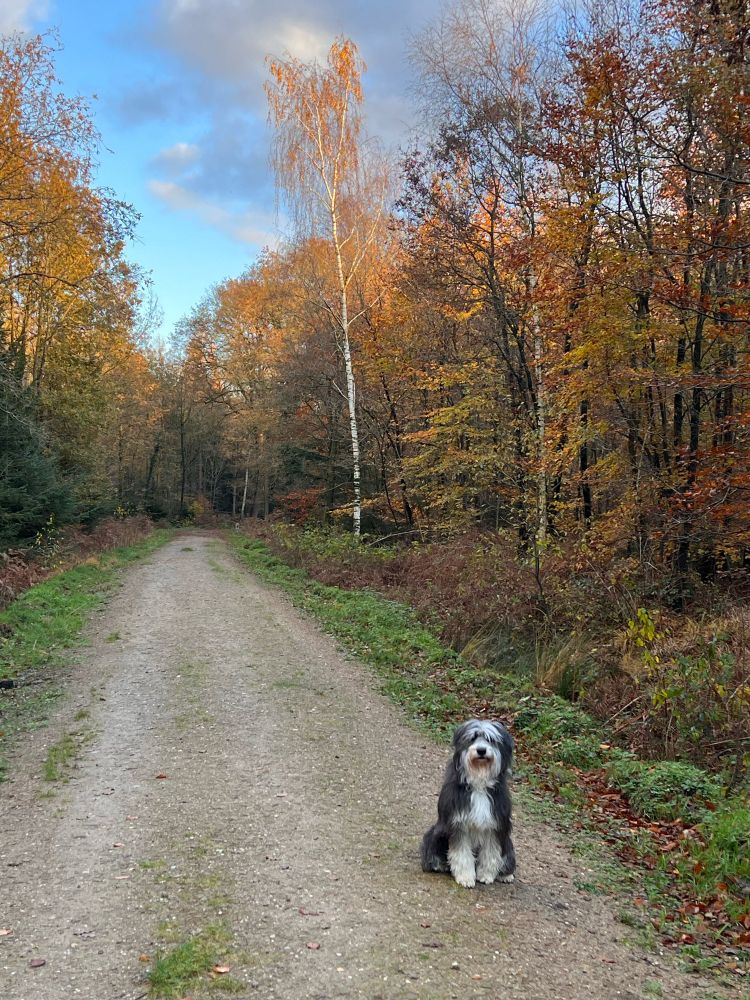 Wanda im Herbst