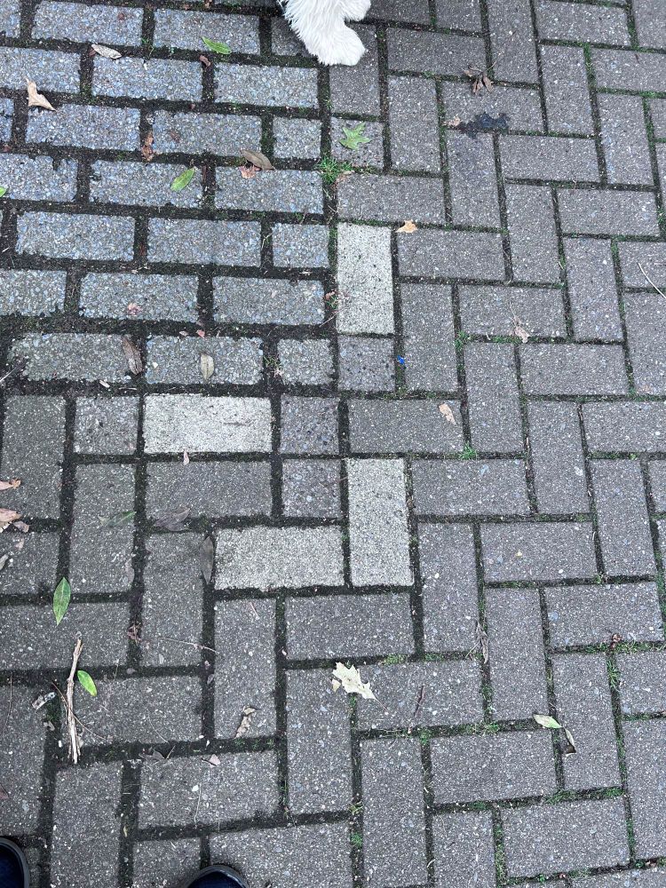 Markierungen der Parkbuchten