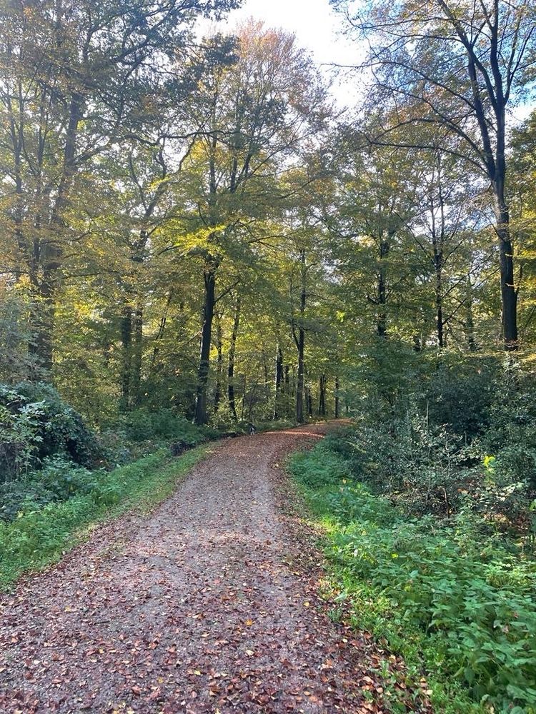 Sonntagmorgenspaziergang im Herbst