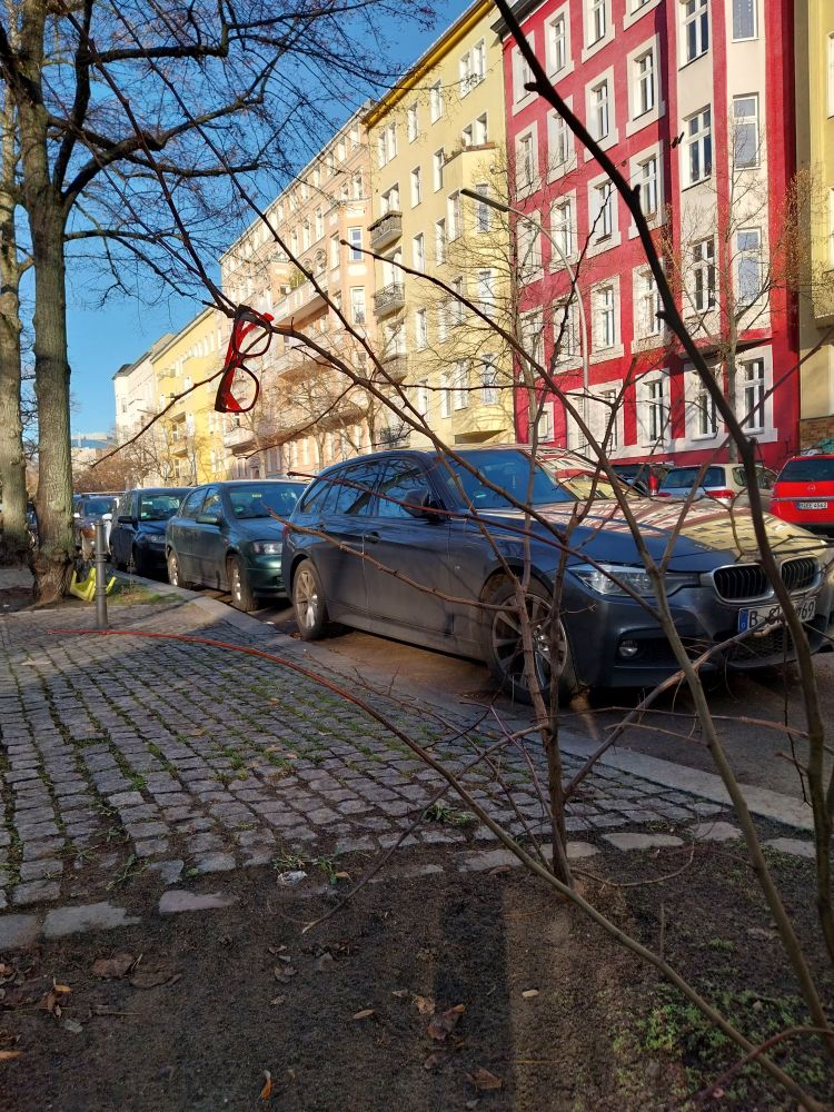 Brille mit rotem Gestell hängt über einem Lindenbaumtrieb am Straßenrand im Sonnenschein neben geparkten Autos