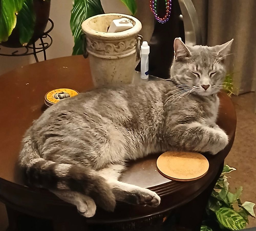A very relaxed grey striped kitten sleeping on a living room end table. 