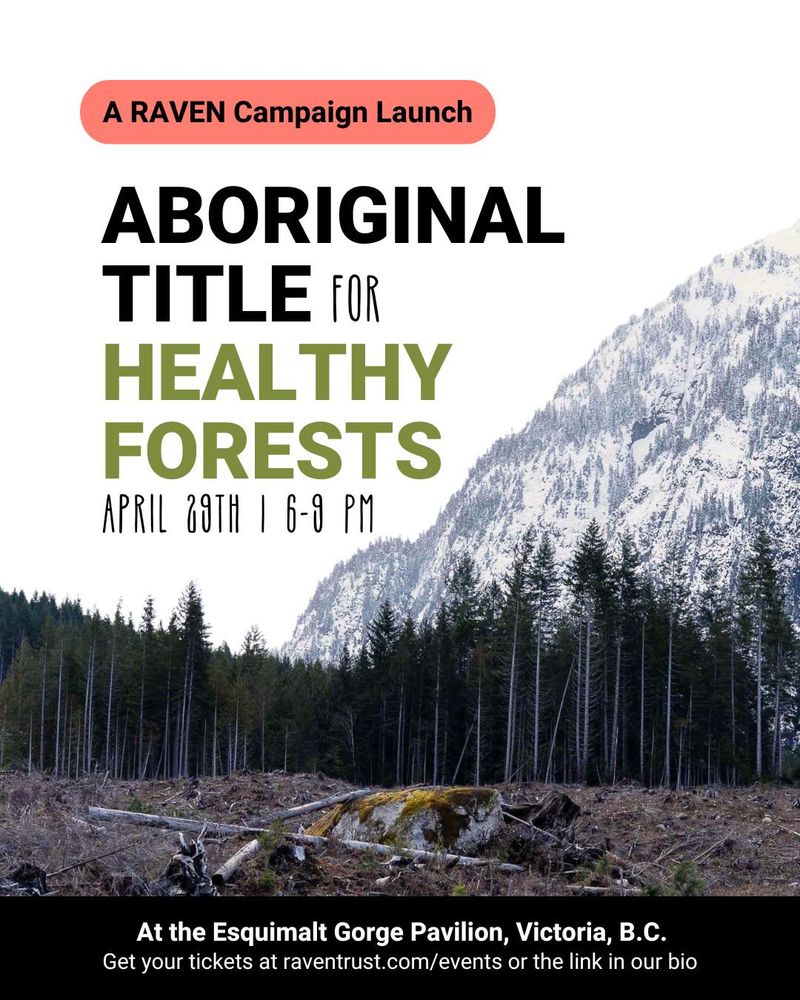 A photos of a forest in a mountain being logged. Text on the image says "Aboriginal title for healthy forests - April 29th, 6-9 PM". 