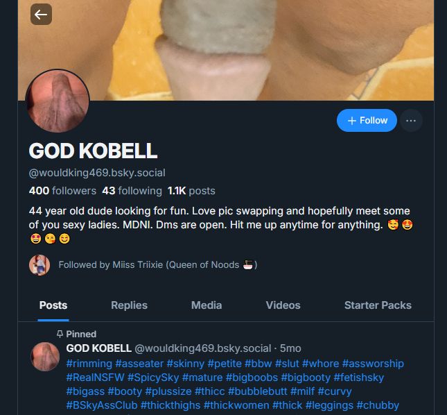 Screenshot of GOD KOBELL's profile page (username wouldking469), showing 400 followers and 43 Following. The bio reads "44 year old dude looking for fun. Love pic swapping and hopefully meet some of you sexy ladies. MDNI. Dms are open. Hit me up anytime for anything." with several emojis at the end. 