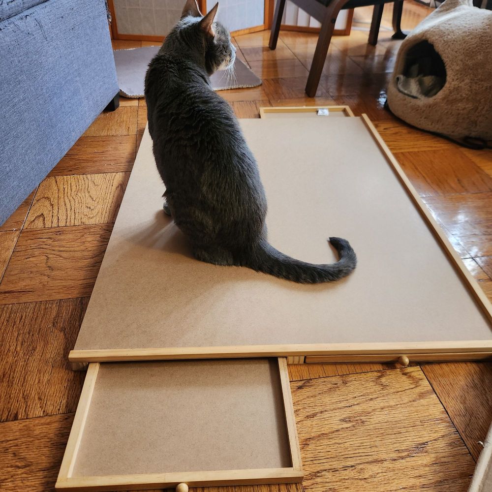 A cat facing away from the camera sits on a jigsaw puzzle table on the floor.