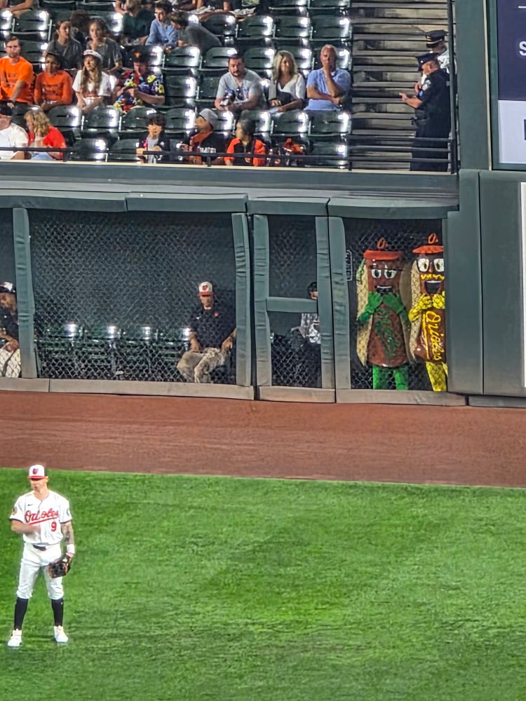Hotdog mascots at the ballpark.