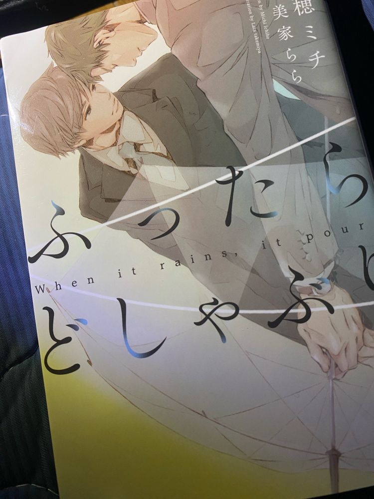 ふったらどしゃぶり　一穂ミチ著　新書館　ディアプラス文庫
ISBN978-4-403-52461-5