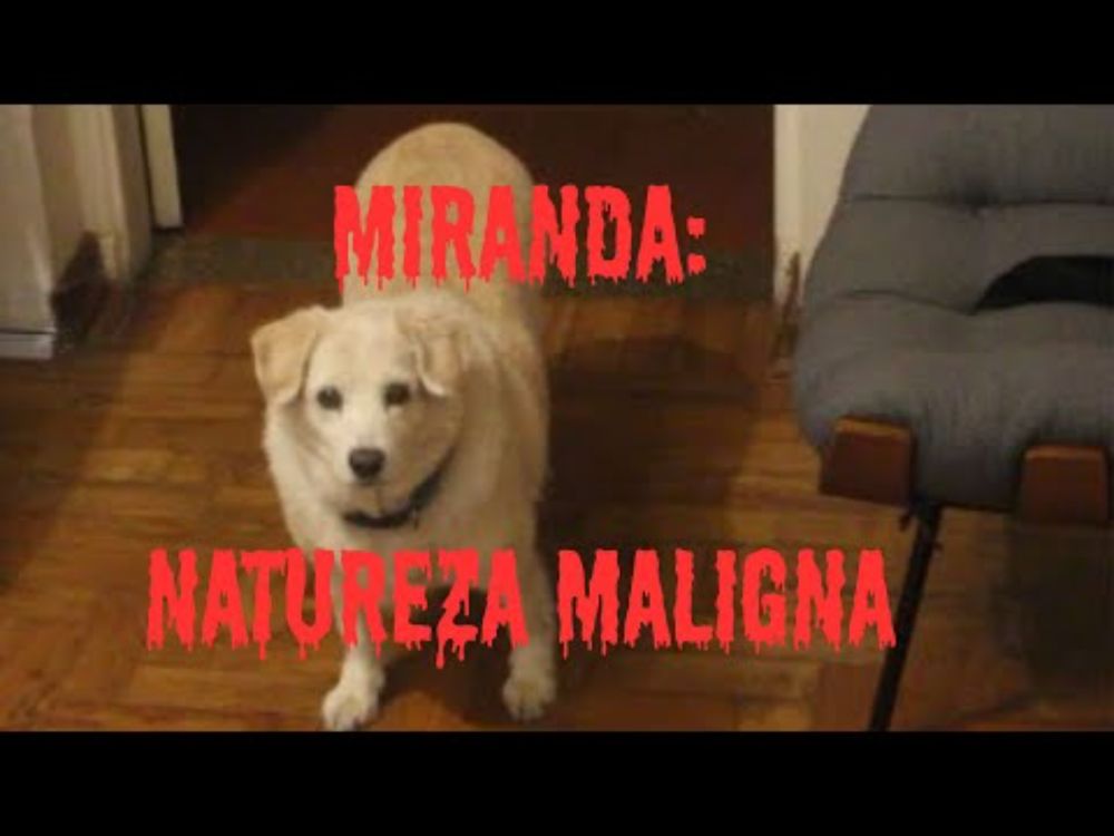 Miranda: Natureza Maligna (Curta-Metragem)