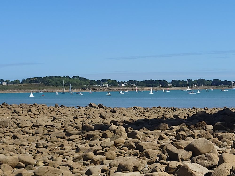 Photo de la mer, de petits bateaux blancs visibles au loin ainsi que la côte en face, arborée. Au 1er plan des galets 
