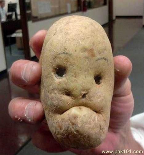A potato that looks disturbingly like a grumpy old man. With eyebrows. 
