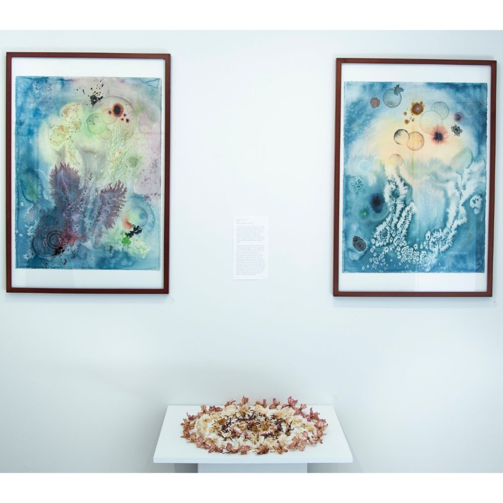 Left to right: ARLINE MATHIEU, untitled (from “lunar waters” series—6/2023/3), 2023, watercolor, ink, color pencil, 37 x 25 inches; winter circles II, 2025, dried orchid flowers and stems; untitled (from “lunar waters” series—6/2023/1), 2023, watercolor, ink, color pencil, 37 x 25 inches. All works are courtesy of the artist.