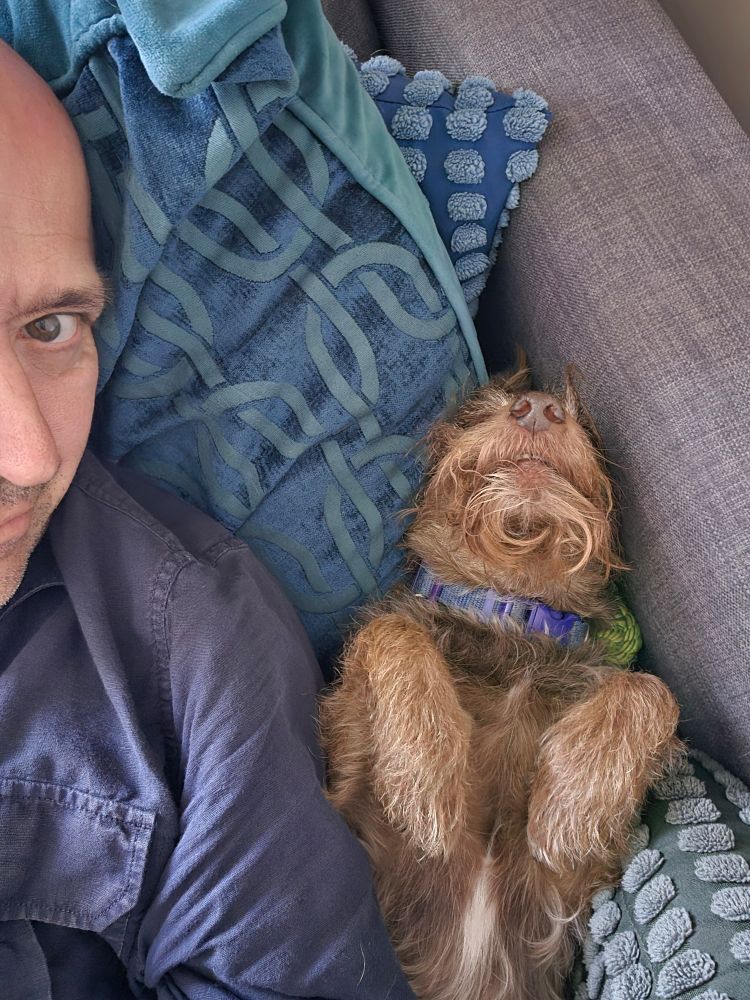 Half of the face of a bald, idle aged man next to a dog that's laying on its back, paws in the air. 