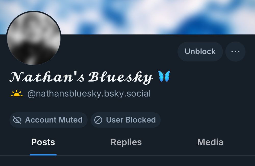 Screenshot of a blue sky account that is posting nudes 