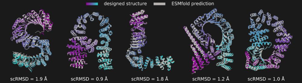 Salad-generated structures (coloured) in the shape of letters spelling out "salad" and their ESMfold predictions (gray). Predictions match the designs well with scRMSD below 2 angstroms. 