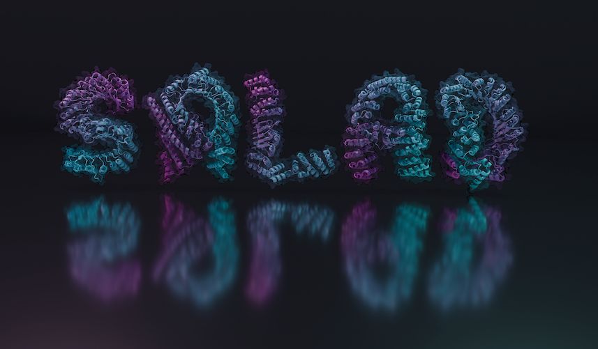 Protein structures colored teal and purple floating above a reflective surface on a dark background. The protein structures spell out the word "SALAD" in all-capital letters.