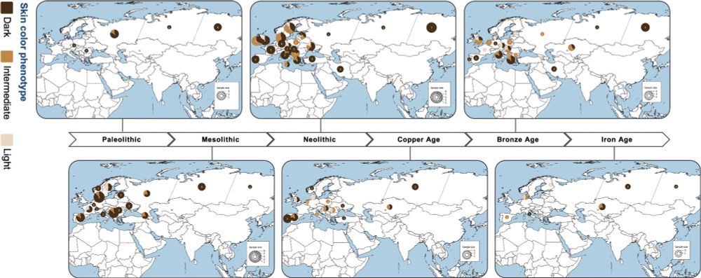 Temporal and geographical distribution of skin pigmentation estimates in Eurasia from Paleolithic to Iron Age.