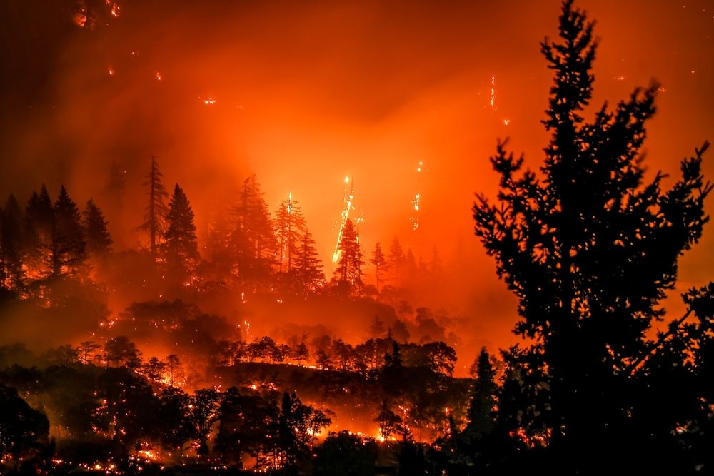 Tunnel 5 Fire in the Columbia River Gorge, Washington, July 2023. 