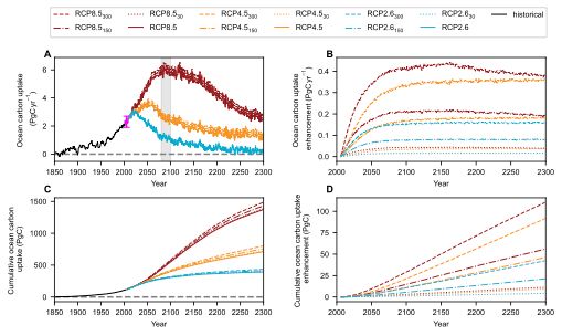 Enhancement of the global ocean anthropogenic carbon sink due to reductions in coral reef carbonate production. The simulated (A) annual ocean anthropogenic carbon uptake (PgC y−1), (B) enhancement due to coral reef degradation (PgC y−1), (C) cumulative anthropogenic ocean carbon uptake (PgC), and (D) enhancement due to coral reef degradation (PgC).