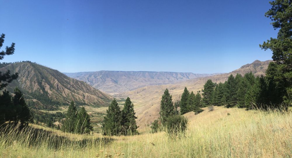 View looking into Hells Canyon, where incision along the Snake River has created steep topography.

CREDIT: Lydia Staisch