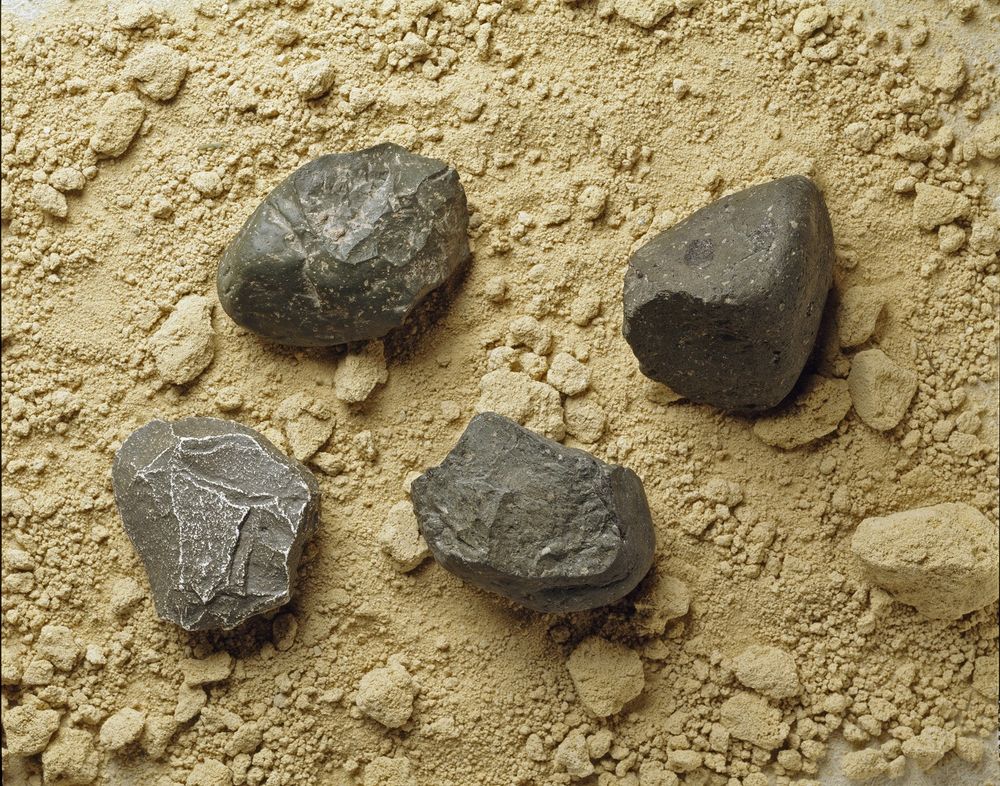 Four Oldowan tools sitting on a dirt floor. Oldowan tools may look simple, but as a recent study shows, their origins are anything but straightforward.
Image credit: The Natural History Museum, London / Science Source.
