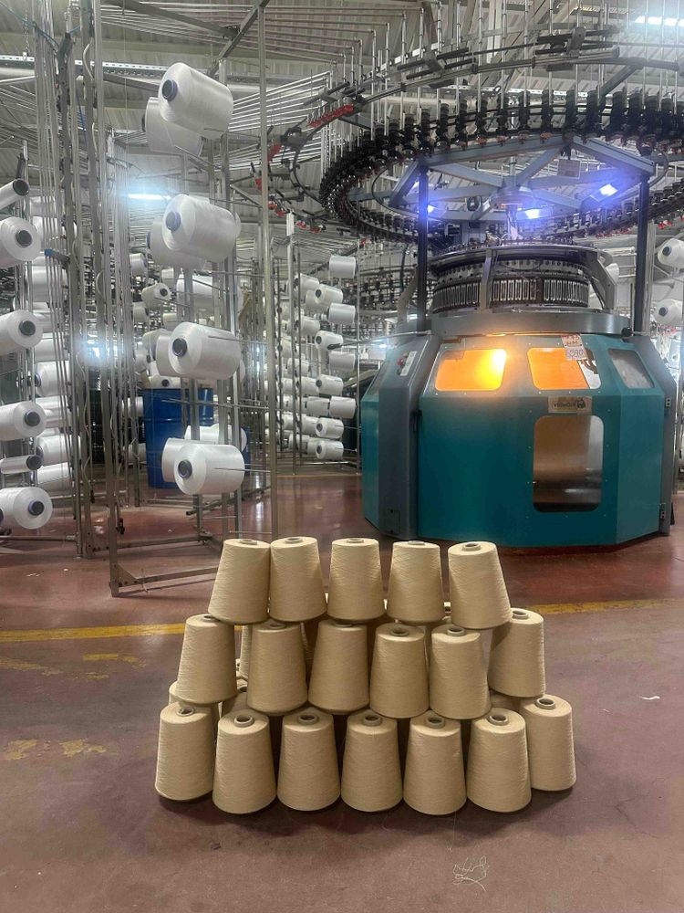 Biomanufactured protein fibers. 
CREDIT: Melik C. Demirel
