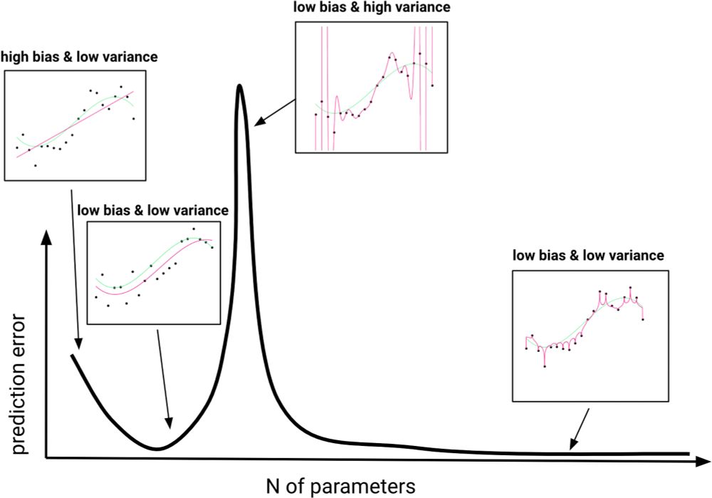 Double descent of prediction error. Degree-one, degree-three, degree-twenty, and degree-one-thousand polynomial regression fits (magenta; from Left to Right) to data generated from a degree-three polynomial function (green). Low prediction error is achieved by both degree-three and degree-one-thousand models.