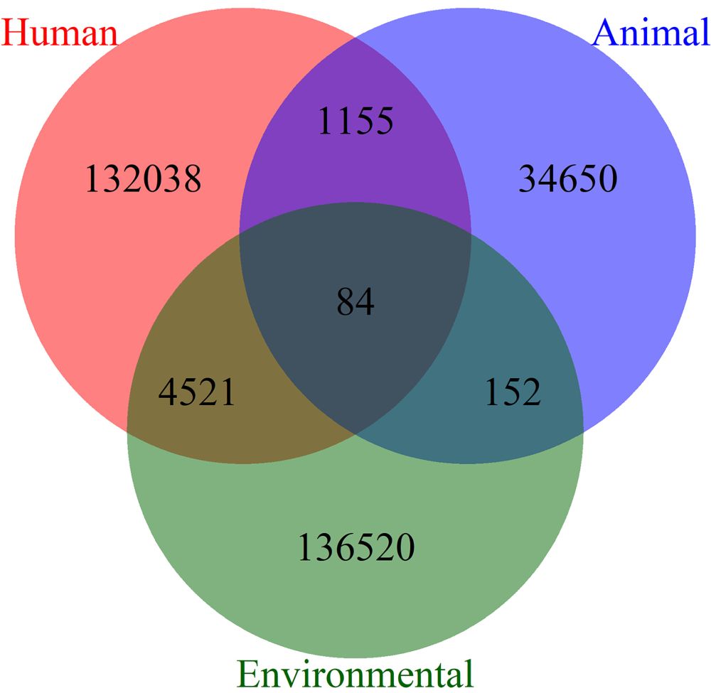 Extracted from the Web of Science Core Collection, this diagram shows publication numbers using the terms “human health,” “animal health,” and “environmental health.” Image credit: John L. Gittleman (University of Georgia, Athens, GA).