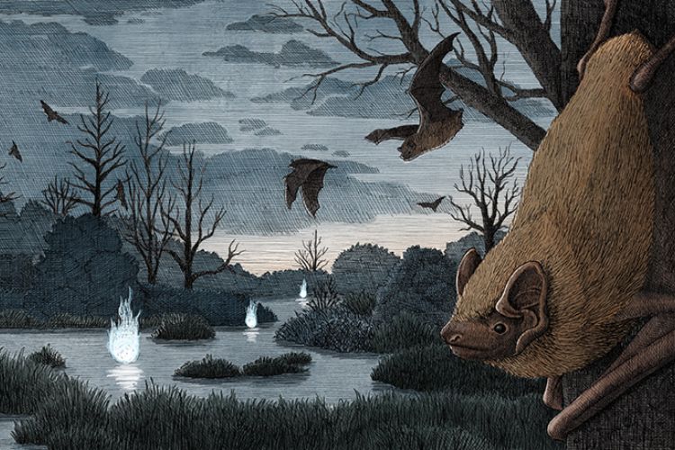 PNAS Science Sessions – Halloween Special. Listen Now! 