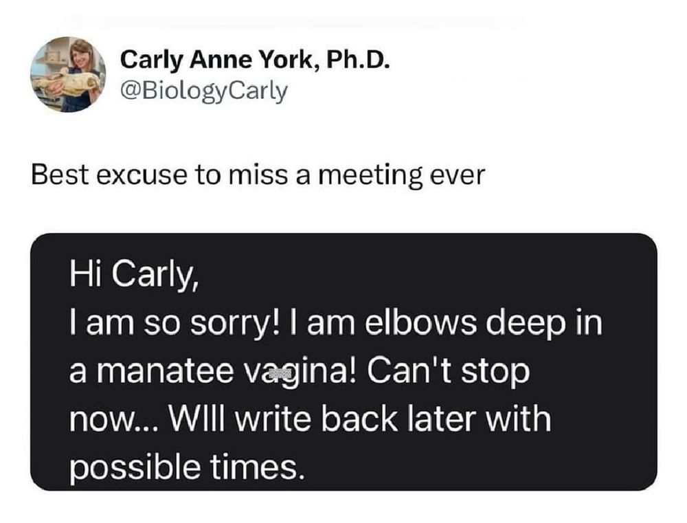 Best excuse to miss a meeting ever : 

Hi Carly,
I am so sorry! I am elbows deep in a manatee vagina! Can't stop now... Will write back later with possible times.
