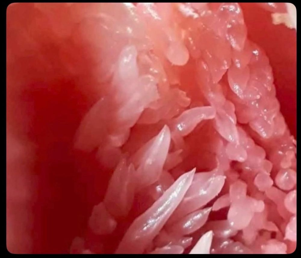 Inzoomad bild på rosa fruktkött 