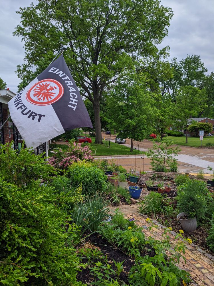 An Eintracht Frankfurt flav flying at a house looking over a garden full of flowers. 