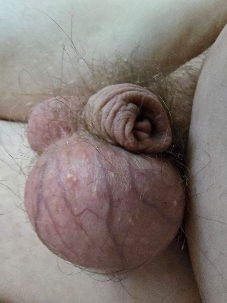 A close up of a man laying on his side. His left testicle os closest to the screen showcasing the size of even one large nad as it dominates the view. Above his foreskin rests over it and his right nut lays behind. 