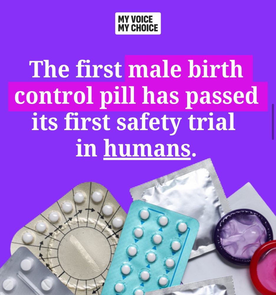 Picture of various contraceptives. 
