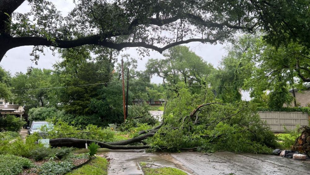 Power outage left North Texans with a lot of spoiled food — but no compensation coming  from Oncor